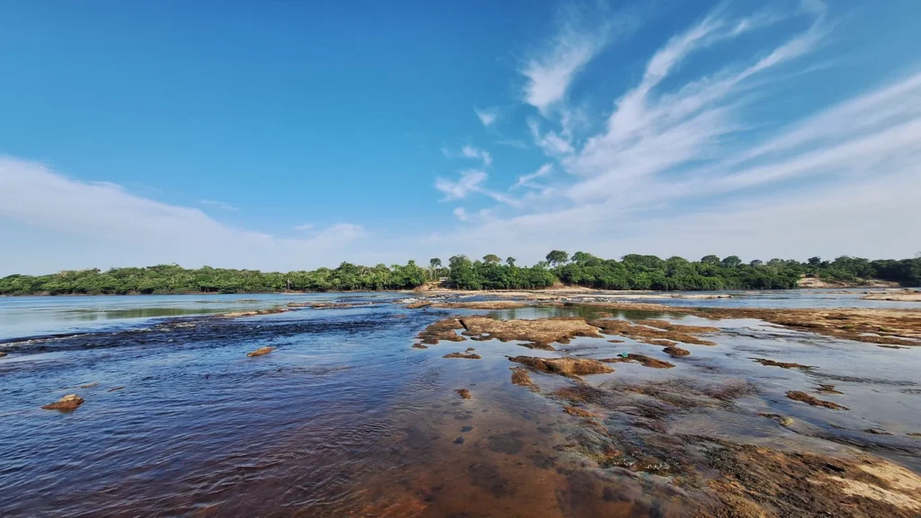 Amazônia e Cerrado registram queda de 11% no desmatamento