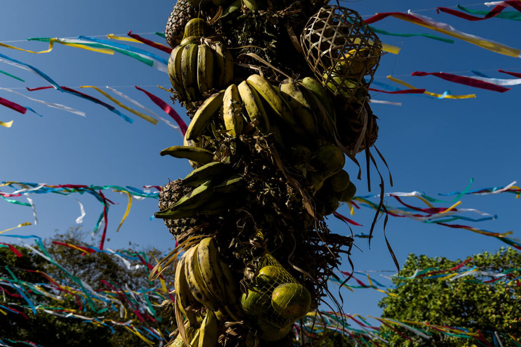 Mudanças climáticas desafiam Sairé, festa da fartura e tradição da Amazônia Mudanças climáticas desafiam Sairé, festa da fartura e tradição da Amazônia