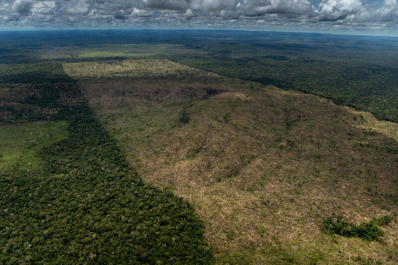 Clientes e acionistas da Sigma não comentam suspeitas sobre lítio ‘zero carbono’