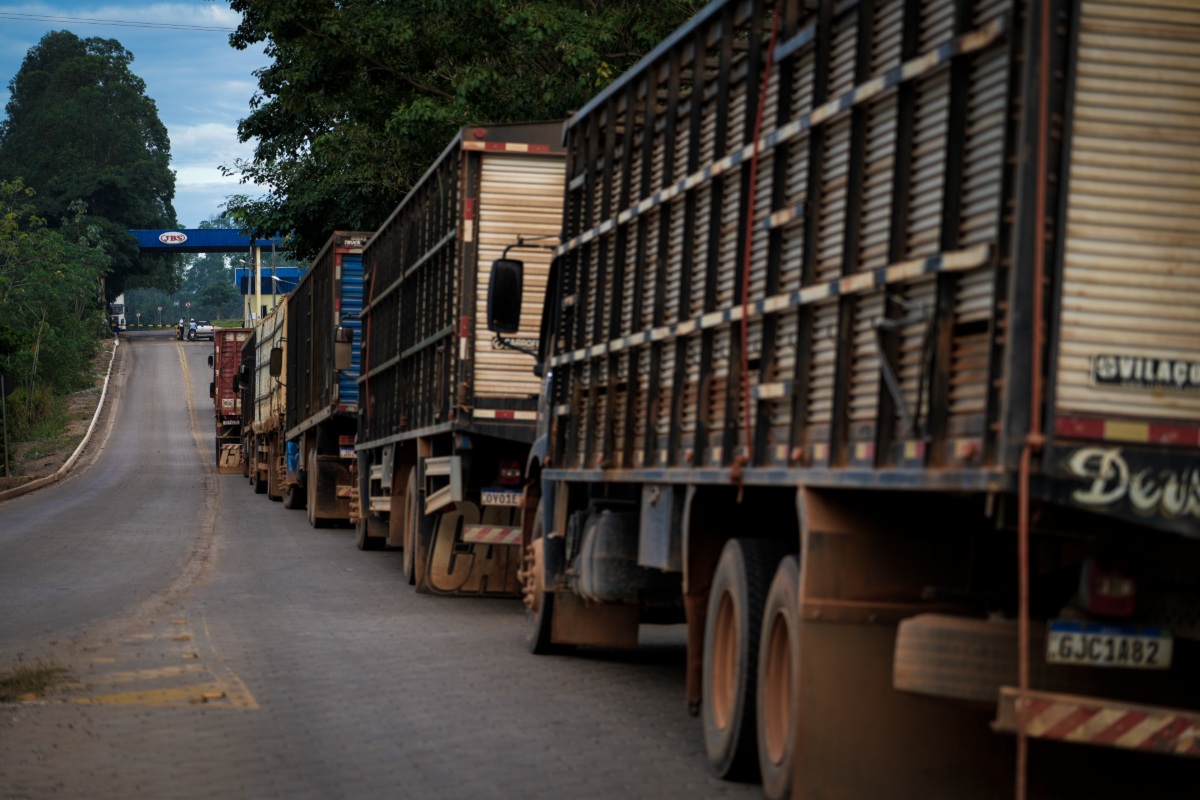Apenas os pecuaristas que transferem o animal da fazenda diretamente para o abate é que são 100%  monitorados pelos frigoríficos. Produtores envolvidos em etapas anteriores da criação escapam no radar (Foto: Fernando Martinho/Repórter Brasil)