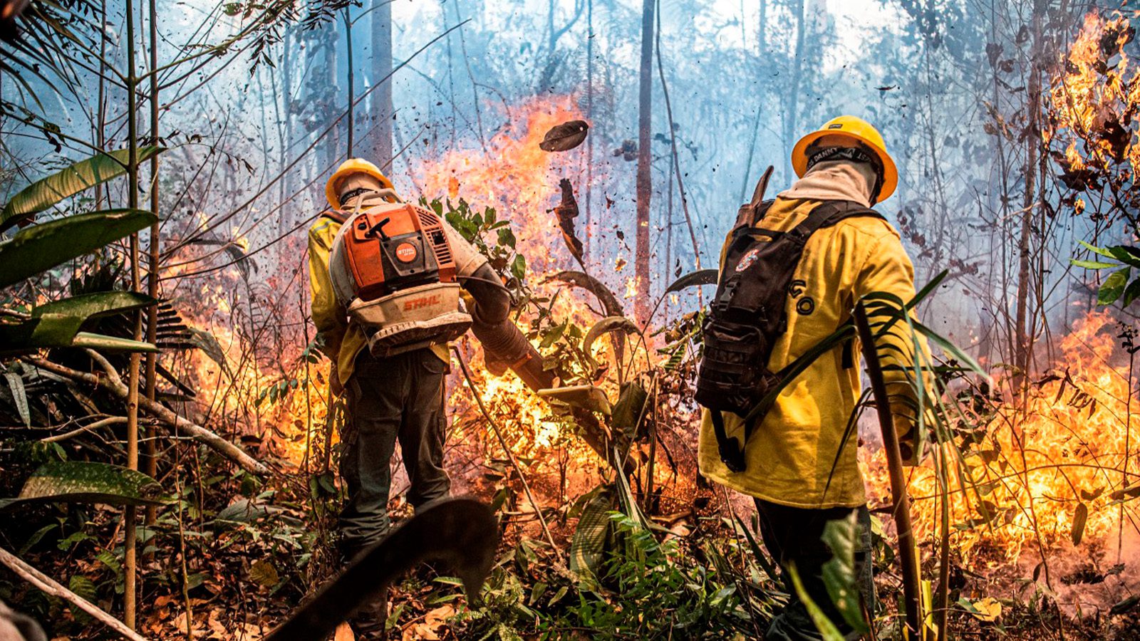 brasil-alcanca-menor-indice-focos-calor-ultimos-12-anos-mayangdi-inzaulgarat-ibama-tvt-news-concurso-aprovados