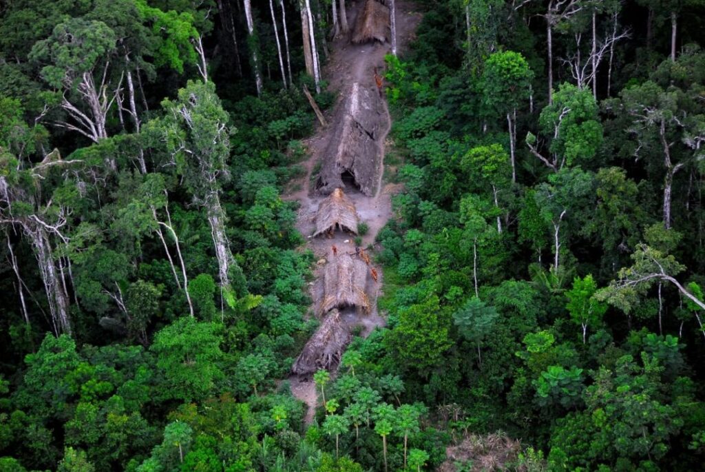 Los minerales críticos ‘rodean’ a 45 pueblos indígenas aislados en la Amazonía
