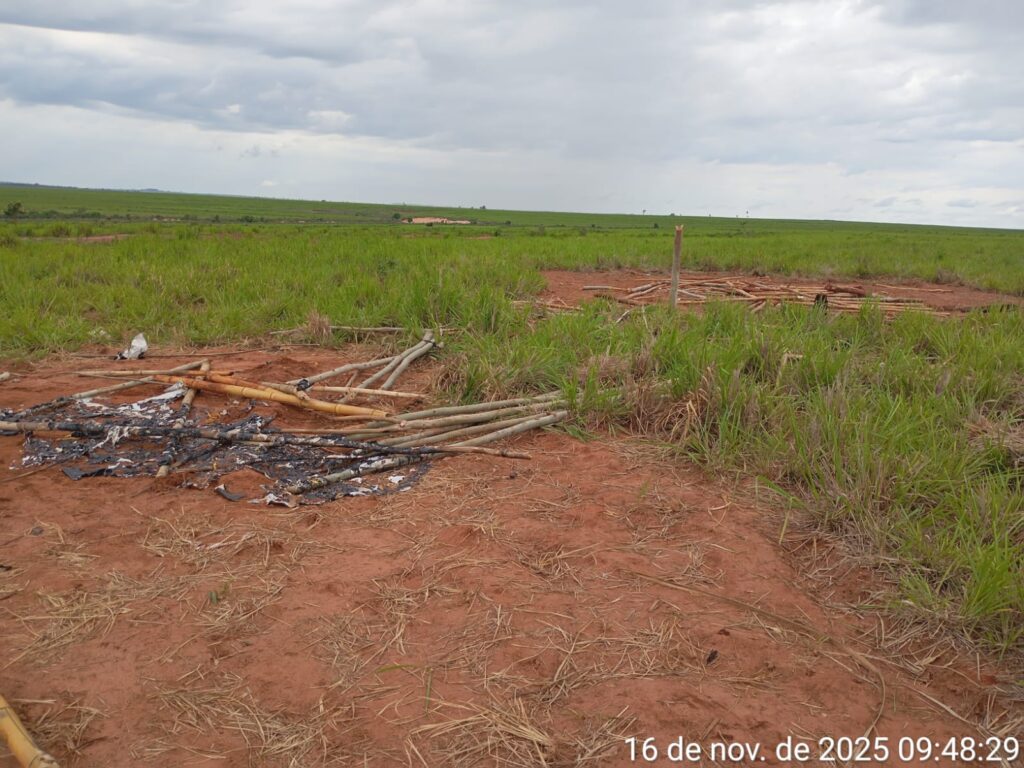 JBS comprou gado de fazenda em área de conflito no MS onde indígena foi morto