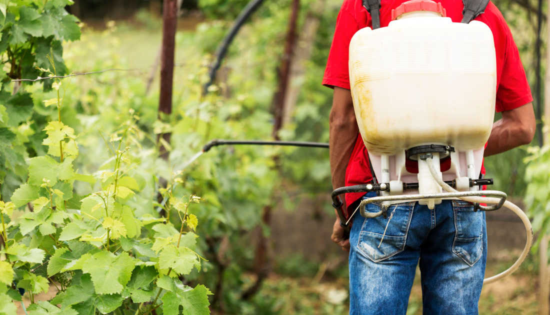 Uso de bomba costal sem EPI para aplicação de agrotóxicos ameaça a saúde de trabalhadores e é um dos motivos que levam os casos à Justiça (Foto: Freepik)