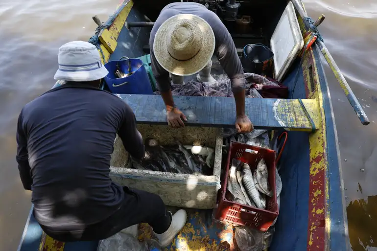 Debate na COP30 sobre oceano impacta 1,6 milhão de pescadores no Brasil