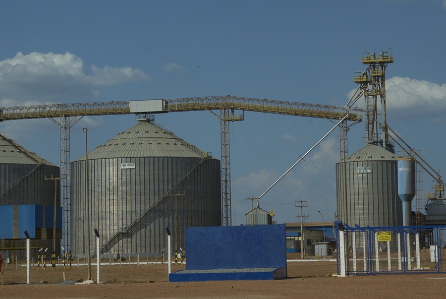Supplier to Bunge and Cargill leases land on farm with deforestation in Piauí