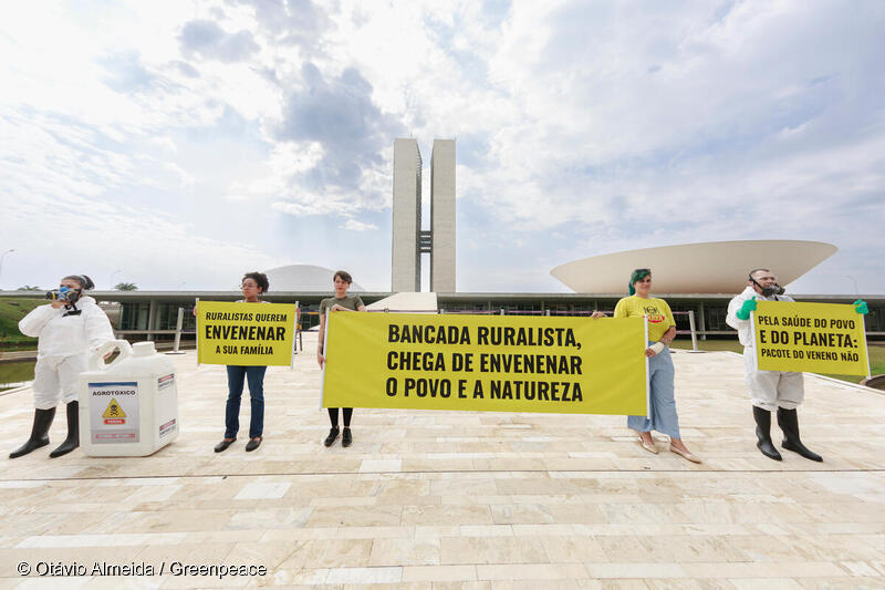 Já de olho em 2026, relembre os destaques da Repórter Brasil em 2025