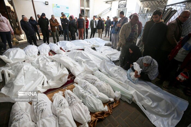 Número real de mortos em Gaza pode ser 35% maior que o divulgado, diz pesquisa