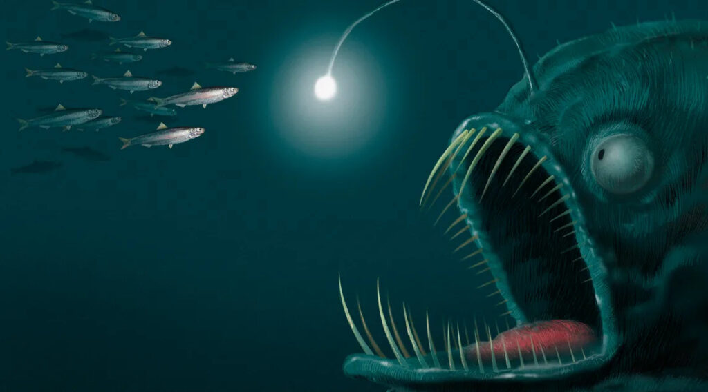 Adeus às buscas na internet