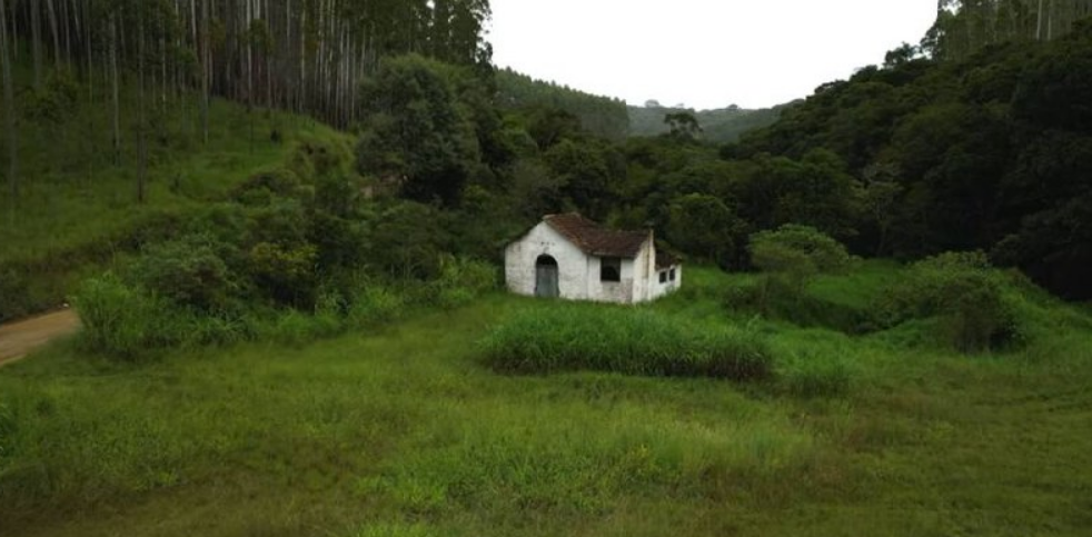 Quando o “verde” volta-se contra os povos tradicionais
