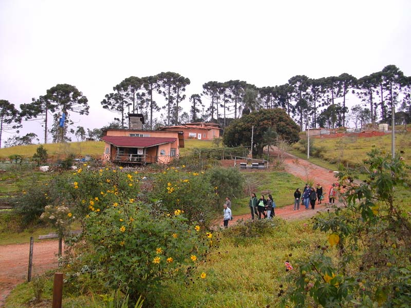 Viagens ao novo mundo das Ecovilas