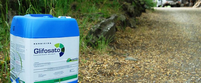 principal agrotóxico da Monsanto