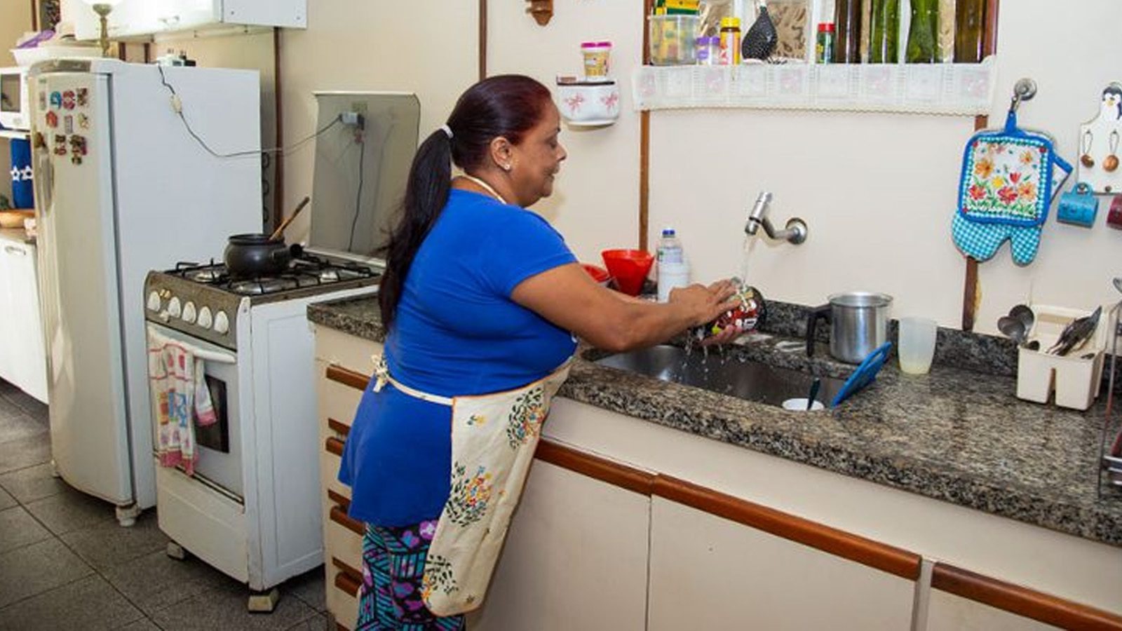 federacao-domesticas-reinvindica-mesmos-direitos-diaristas-licia-rubinstein-agencia-ibge-noticias-tvt-news