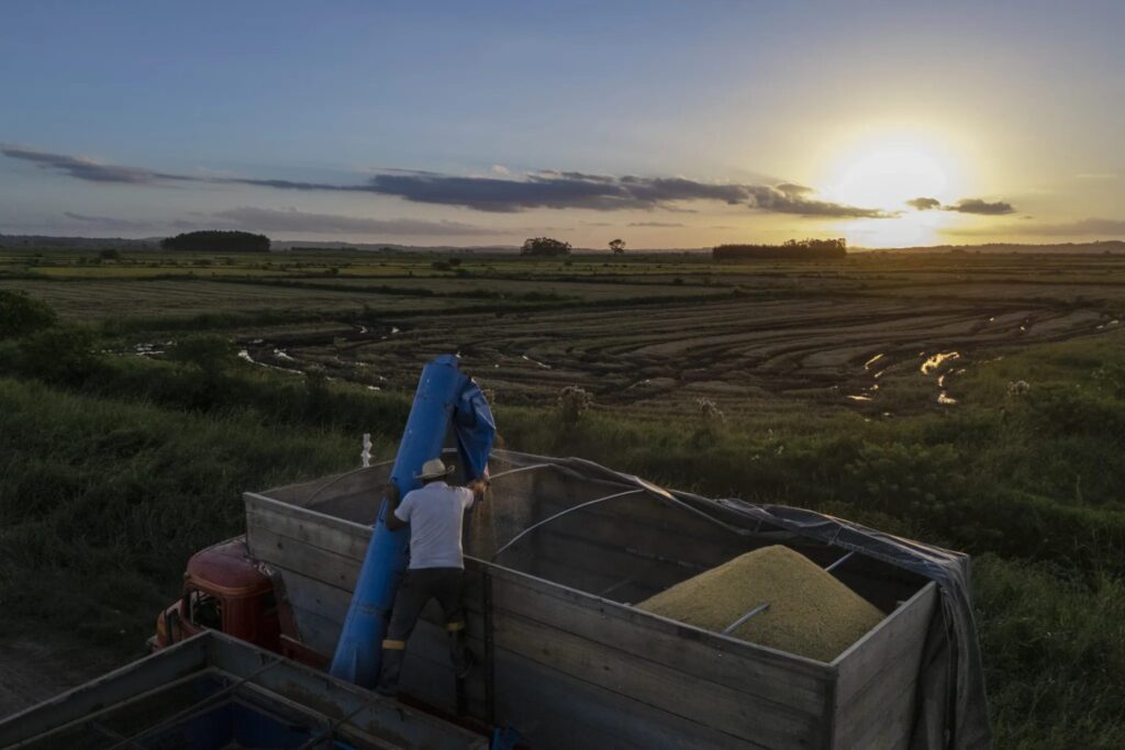 Abandono, jornadas vitalícias e acesso à terra: os desafios do trabalhador e trabalhadora rural