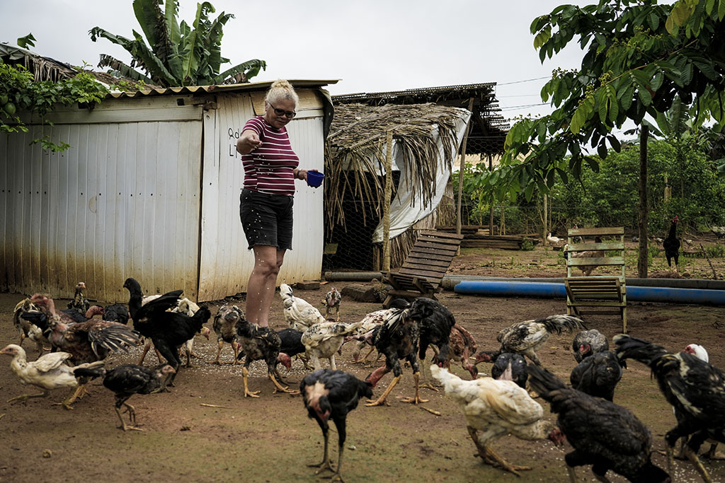 Às margens de um dos principais corredores logísticos do país, o Terra e Liberdade reúne mais de 5 mil famílias, que ocupam pequenos lotes (Foto: Fernando Martinho/Repórter Brasil)
