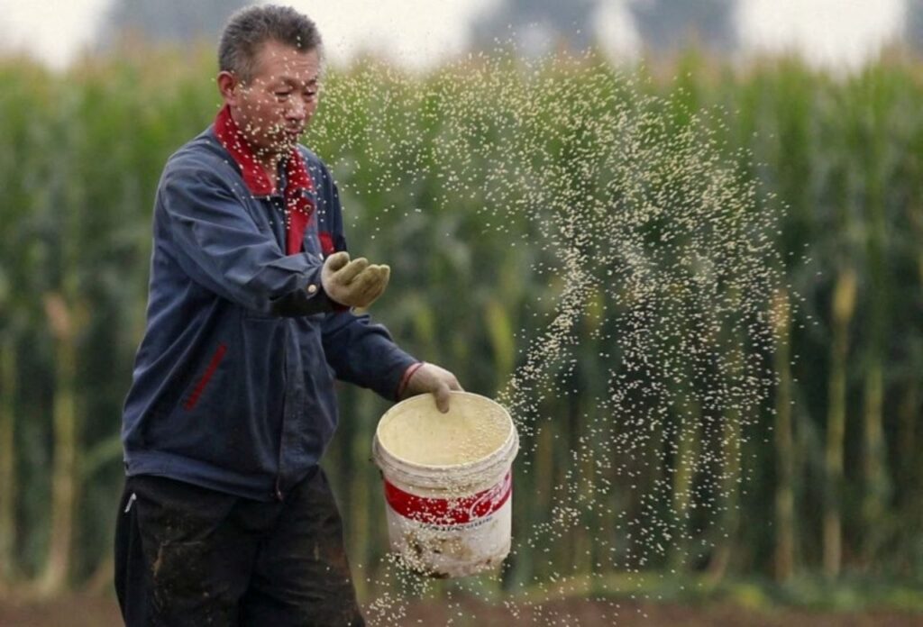 Agro: China muda de rumo e Brasil não percebe