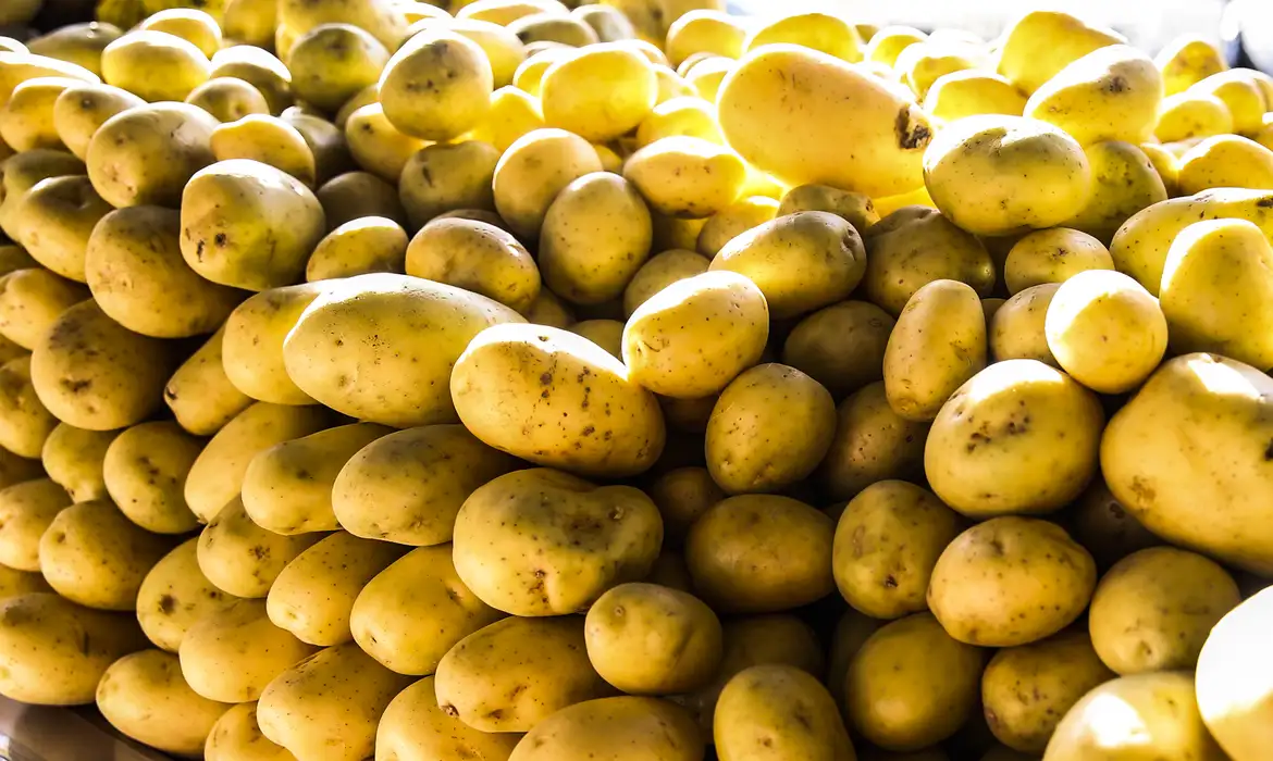Dinheiro obtido com a venda do título oferecido pela Bem Brasil seria usado para comprar batatas inglesas dos produtores com histórico de multas ambientais (Foto: Valter Campanato/Agência Brasil)