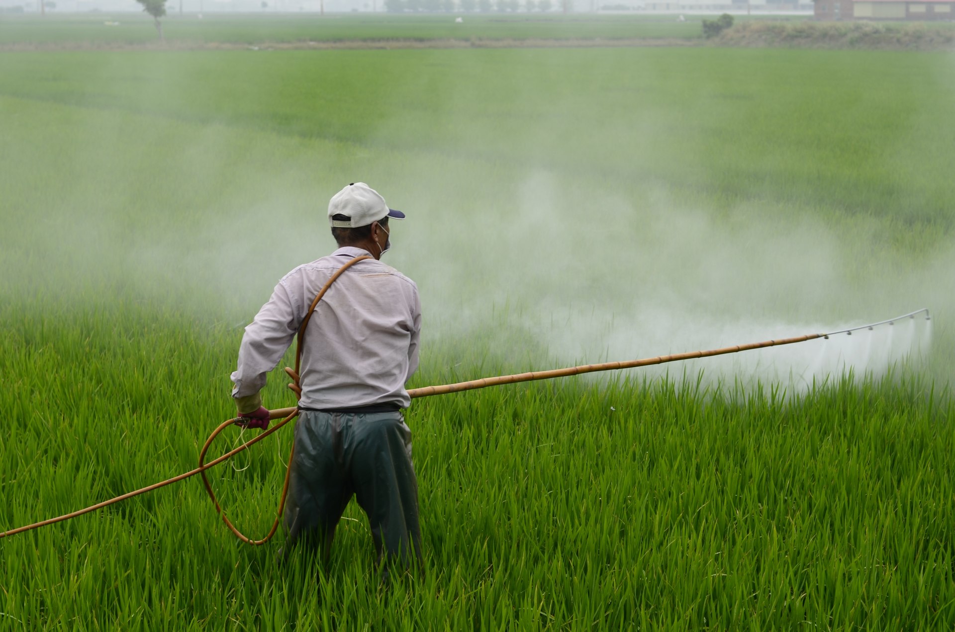 Trabalhadores entre 20 e 59 são as maiores vítimas de intoxicação por agrotóxicos (Foto: PxHere)