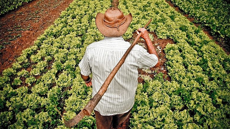 Agroecologia, a arte de enfrentar o atraso