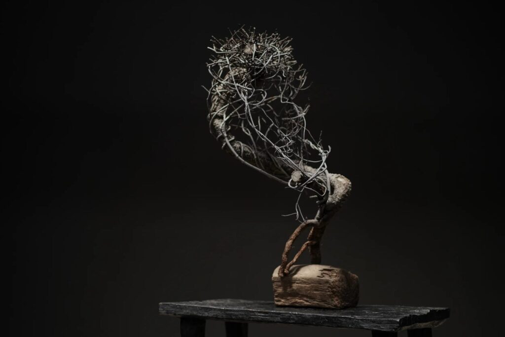 Bonsai econômico