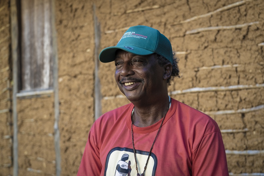 Monocultura de macaúba da Acelen em Cachoeira, cidade do Recôncavo Baiano. Moradores do entorno da plantação temem impactos sobre as estradas e o extrativismo das comunidades quilombolas (Foto: Fernando Martinho/Repórter Brasil)