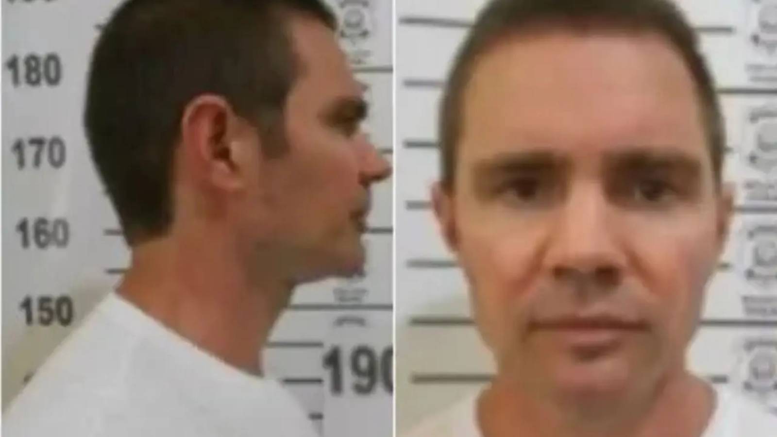 Filme "Dark horse" sobre Bolsonaro teve gasto de R$ 75 milhões, revela produtora 2 stf-tem-maioria-para-manter-prisao-de-daniel-vorcaro-ha-indicios-de-que-esse-braco-armado-possua-mais-integrantes-alguns-deles-ainda-nao-presos-afirmou-o-relator-foto-reproducao-tvt-news