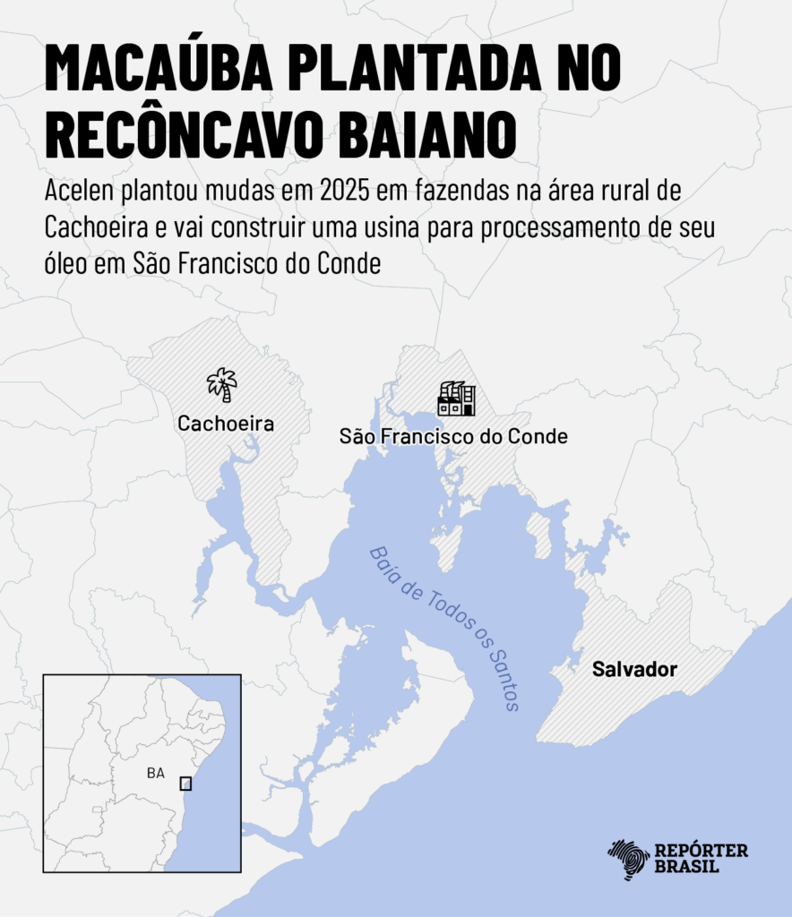 Quilombolas relatam perda de acesso à terra com produção de biocombustível na BA