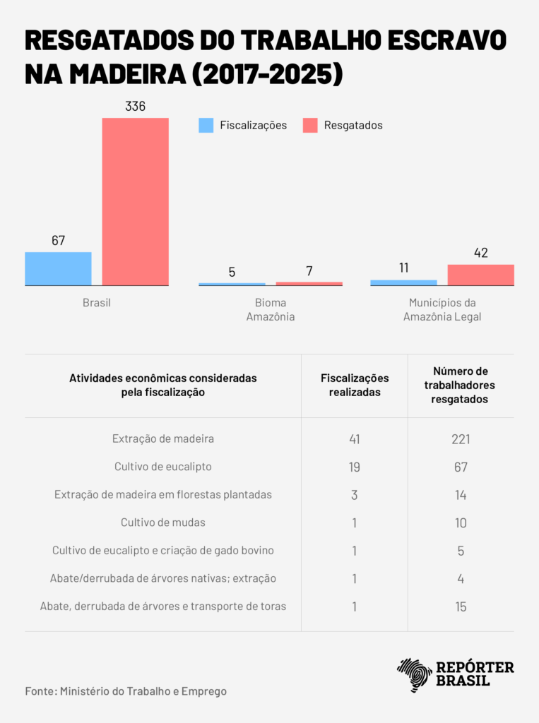 Poucas denúncias e difícil acesso travam combate à escravidão no corte de lenha Poucas denúncias e difícil acesso travam combate à escravidão no corte de lenha