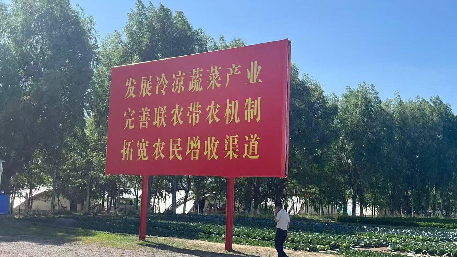 Exclusivo: Como a tecnologia transformou "solo infértil" na horta da China 7 vila-yaomo-cidade-de-guyuan-ningxia-foto-talita-galli-tvt-news