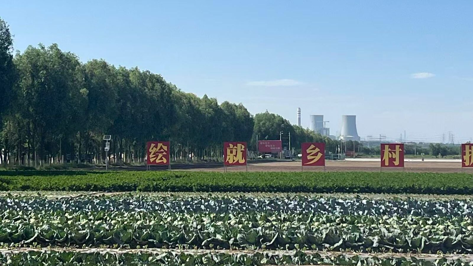 Exclusivo: Como a tecnologia transformou "solo infértil" na horta da China 8 vila-yaomo-cidade-de-guyuan-ningxia-foto-talita-galli-tvt-news