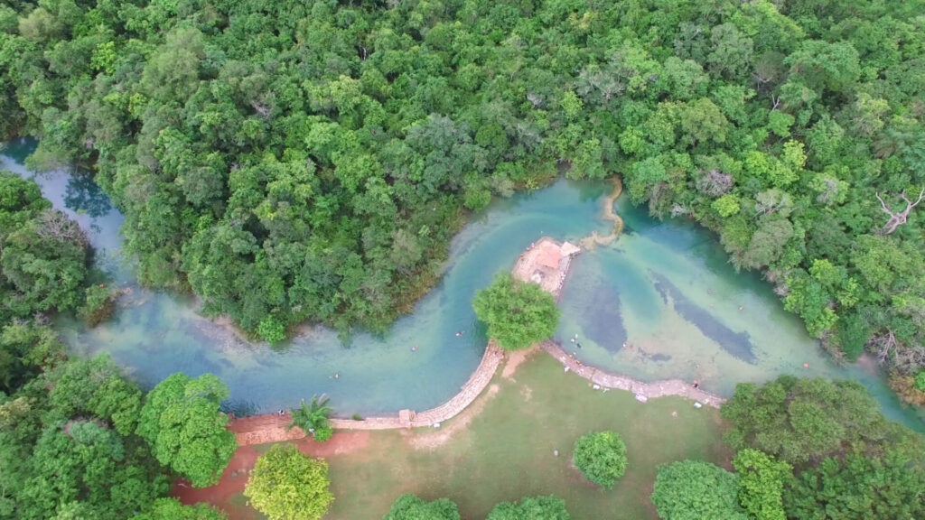 Ecocídio no Pantanal