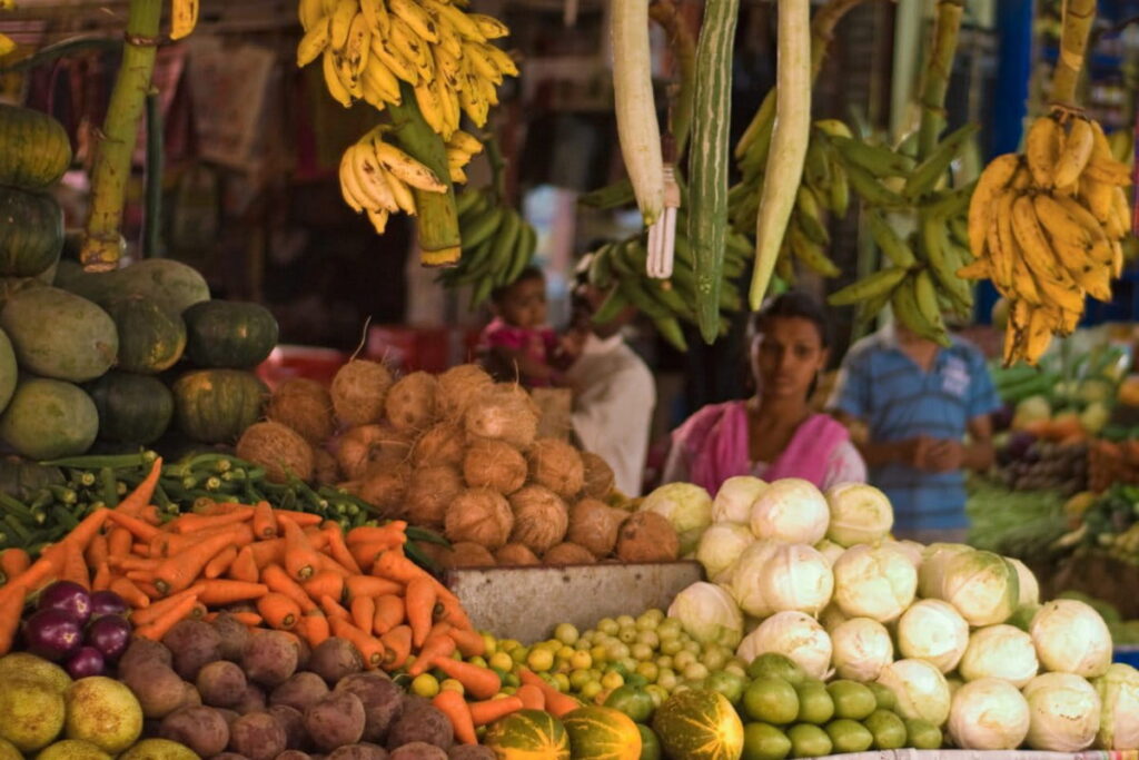 Uma nova agricultura contra a ruína alimentar Uma nova agricultura contra a ruína alimentar
