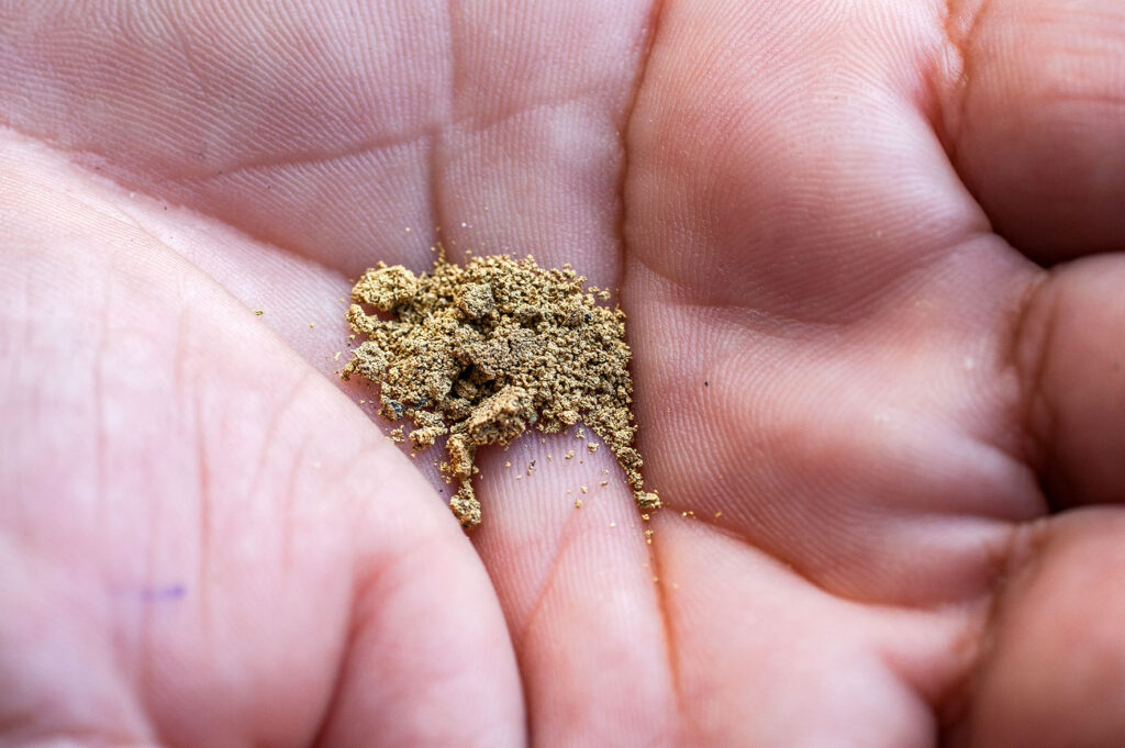 Garimpos autuados por mercúrio irregular vendem R$ 537 mi em ouro para quatro empresas Garimpos autuados por mercúrio irregular vendem R$ 537 mi em ouro para quatro empresas