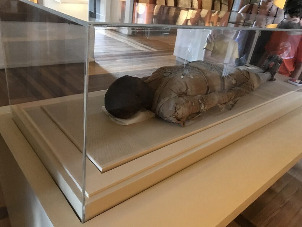Kherima: a história da múmia destruída no incêndio do Museu Nacional